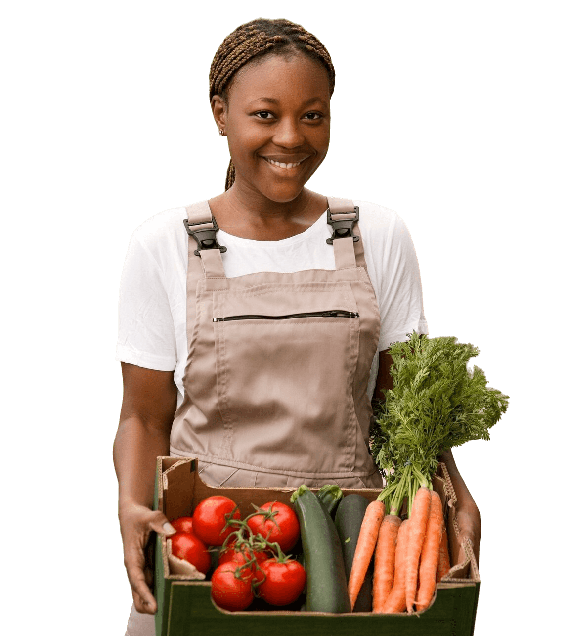 Agriculture | 24% Image